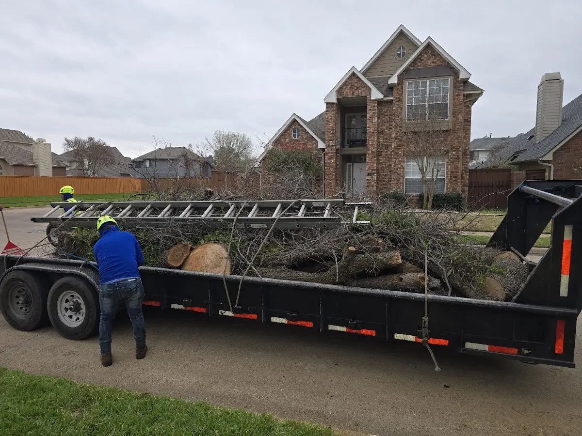 Expert Tree Fertilization with proper safety equipment in Princeton